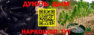прущая мука Кингисепп